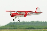 Black Horse Taylorcraft 2050mm ARTF