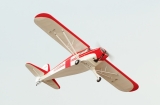 Black Horse Taylorcraft 2050mm ARTF