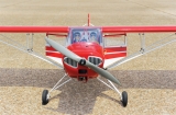 Black Horse Taylorcraft 2050mm ARTF