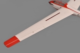 Phoenix Bergfalke - 330 cm Elektrosegler
