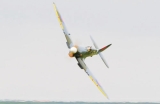 Black Horse Spitfire IX ARF 2000mm V2