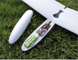 DREAM-FLIGHT LIBELLE DLG ARF AUS EPO SEGELFLUGZEUG MIT CARBON HECKROHR