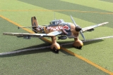 Seagull Models JU-87 Stuka "Desert Snake" 90" 55ccm 2286mm