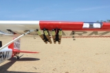 Seagull Models ( SG-Models ) Cessna Bird Dog "DeadEye" 122" ARF 60-85CCm - 3100mm