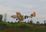 Seagull Models North American P-51D Charolotte´s Chariot II 35cc 180cm incl. Electric Retracts