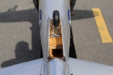 Seagull Models ( SG-Models ) P-47D Giant "Dan`I Boone" 55-60cc mit elektrischem Einziehfahrwerk