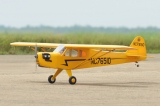 Blackhorse Piper J3 Cub / 1950mm GP / EP ARF