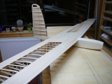 Eleganz Nurflügler mit 3,1m Spannweite CNC Holzbausatz