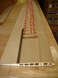 Eleganz Nurflügler mit 3,1m Spannweite CNC Holzbausatz