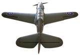 Bay-Tec Seagull P-40 Warhawk Shark 2032mm ARF mit Elektrischem EZFW