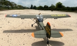 Seagull Cessna L-19A Bird Dog 2502mm 35-40cc