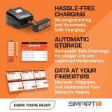 SPEKTRUM 14.8V 2200mAh 4S 30C Smart G2 LiPo Akku: IC3