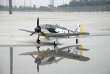 Focke Wolf FW190 Warbird 1200mm brushless PNP - EZFW - Super Scale
