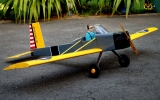 VQ-Model Aircraft Volksplane 46 size EP-GP US version - ARF (1,60 m Spannweite)
