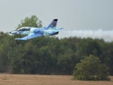 Black Horse Albatros L-39 / 1890 mm ARF incl. Elektrischem EZFW