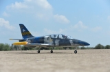 Black Horse Albatros L-39 / 1720 mm - incl. EZFW und Bremse
