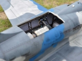 Black Horse Albatros L-39 / 1720 mm - incl. EZFW und Bremse