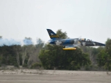 Black Horse Albatros L-39 / 1720 mm - incl. EZFW und Bremse