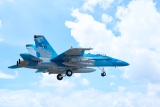 FMS F-18 Hornet EDF 64 Jet PNP grau - 74cm