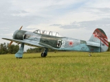 Black Horse Yak 11 / 2350mm - EP/GP