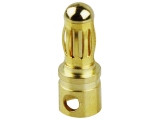 Goldkontakt Stecker kurz, 3,5mm