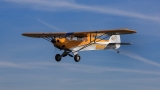 Hangar 9 Carbon Cub 15cc 2280mm ARF