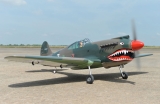 Black Horse P40C Tomahawk 60cc ARTF 2276mm