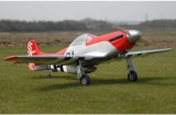 Flying Legends P-51 Mustang - gebaut 2515mm