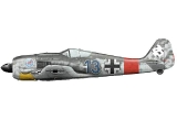 Focke Wulf "Walter Dahl"