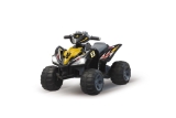 Ride-On Quad 12V