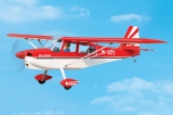 Blackhorse SUPER DECATHLON 2450mm ARF
