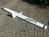Eleganz Nurflügler mit 3,1m Spannweite CNC Holzbausatz