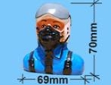 Blackhorse Pilot P43