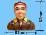 Blackhorse Pilot P73