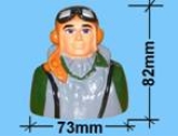 Blackhorse Pilot P80